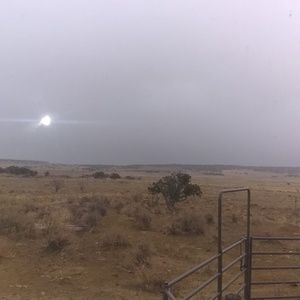 Meet your Posher, Hank